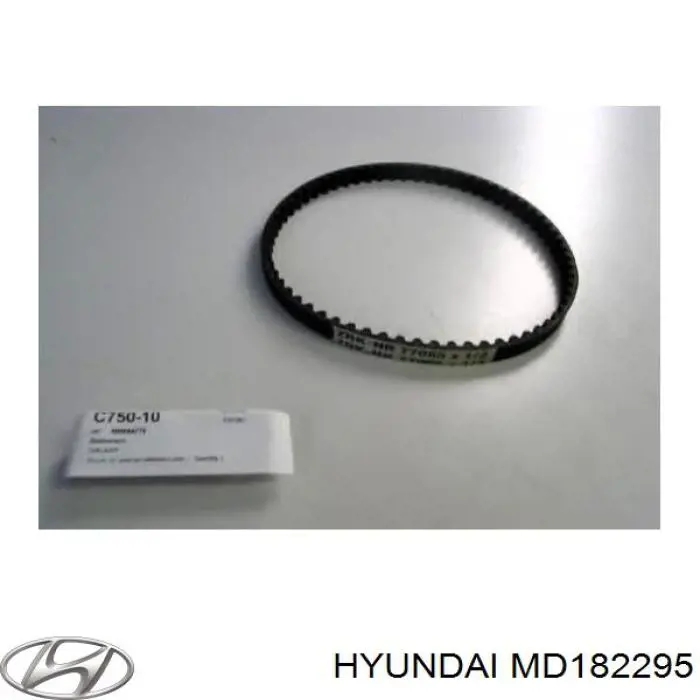 MD182295 Hyundai/Kia correa dentada, eje de balanceo