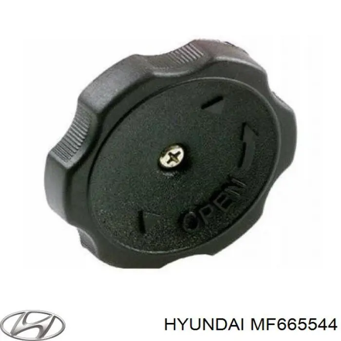 MF665544 Hyundai/Kia tapón de culata