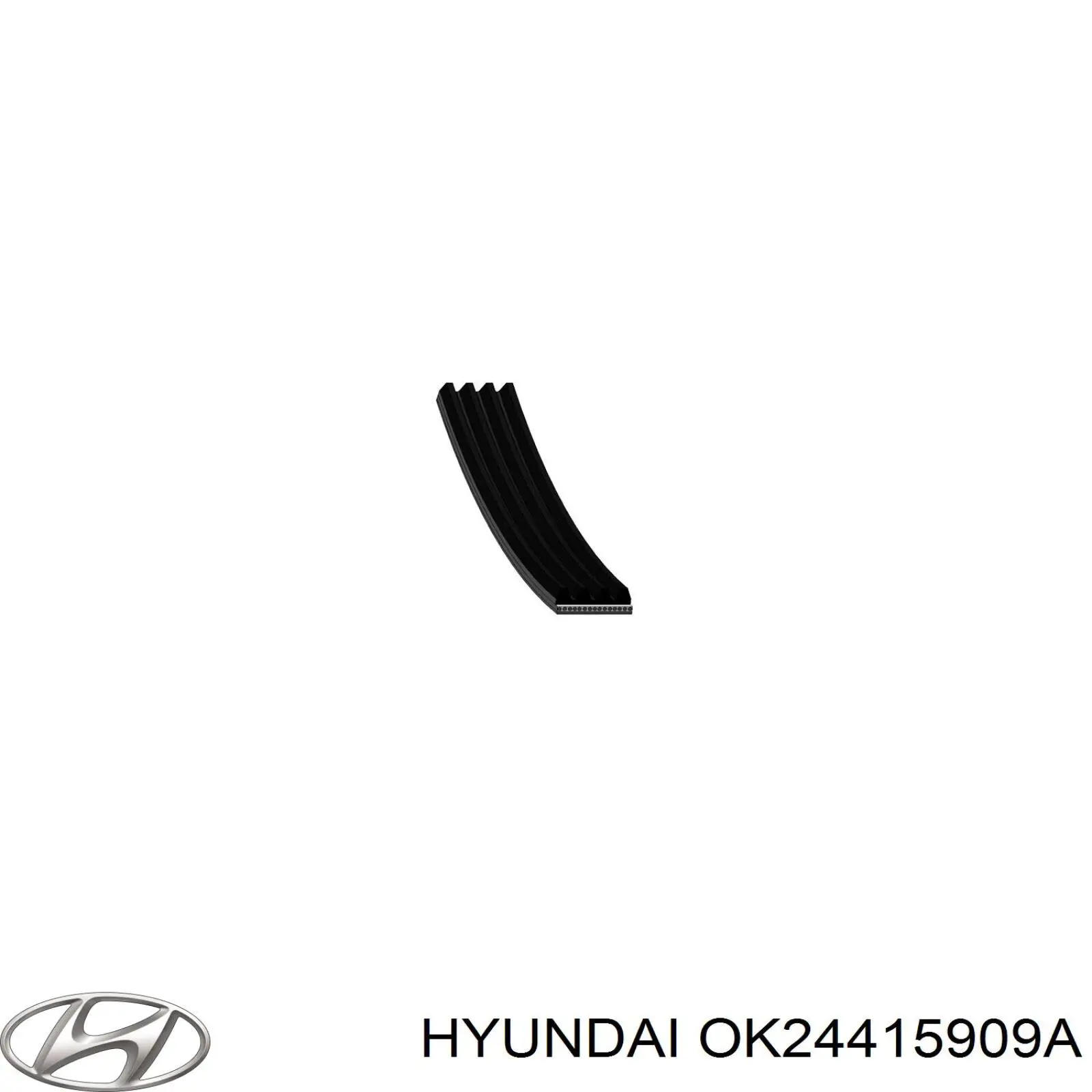 OK24415909A Hyundai/Kia correa trapezoidal