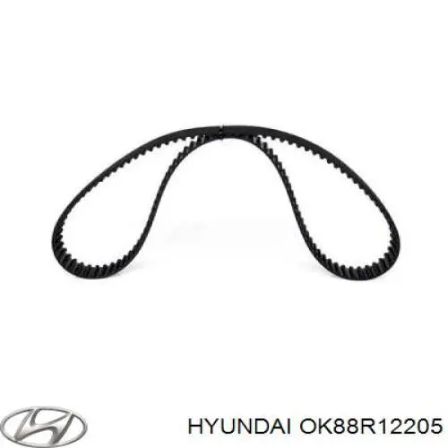 OK88R12205 Hyundai/Kia correa distribucion