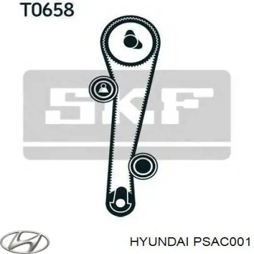 PSAC001 Hyundai/Kia polea correa distribución