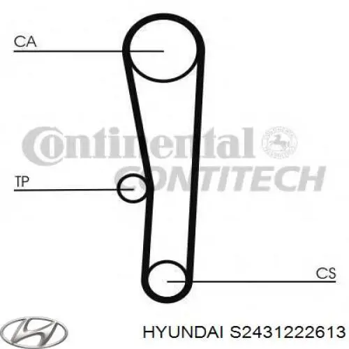 S2431222613 Hyundai/Kia correa distribucion