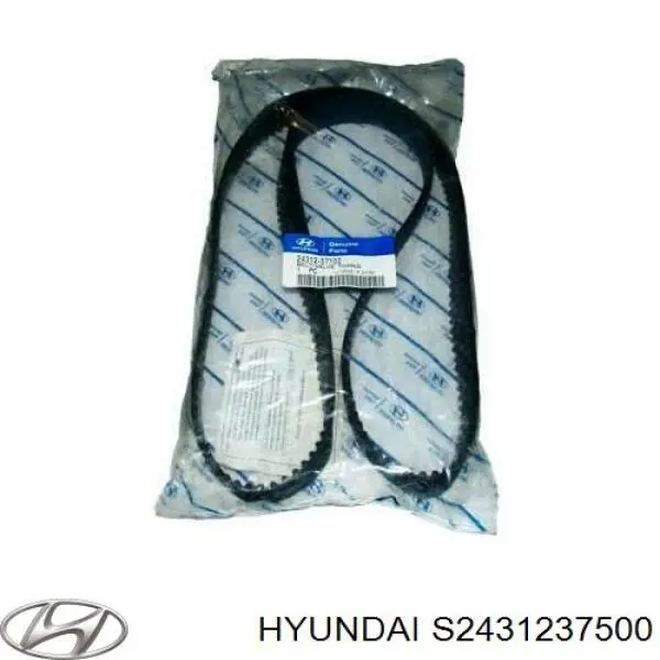 S2431237500 Hyundai/Kia correa distribucion