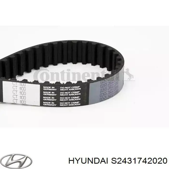 S2431742020 Hyundai/Kia Rodillo de cadena