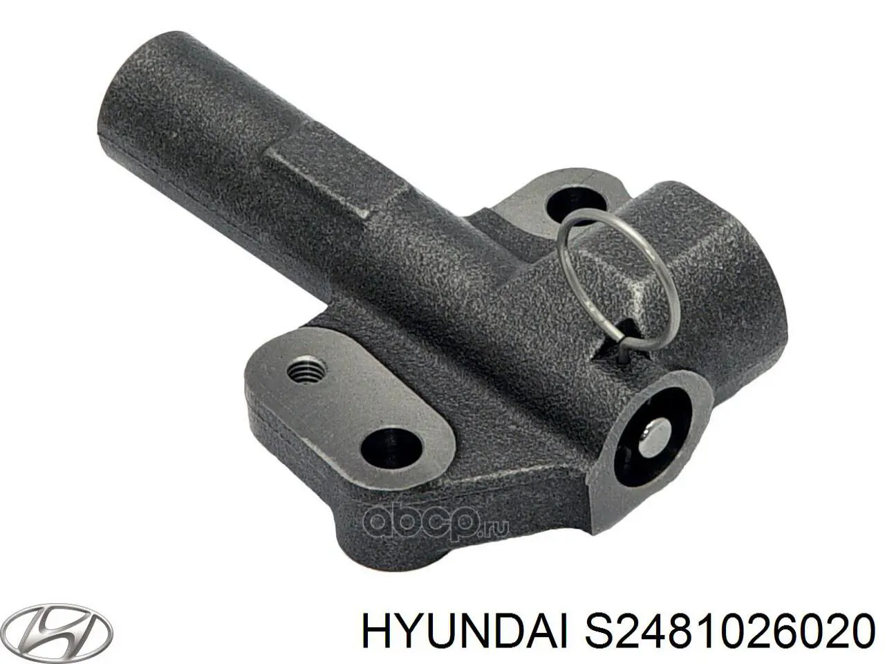 S2481026020 Hyundai/Kia polea correa distribución