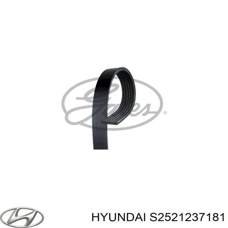 S2521237181 Hyundai/Kia correa trapezoidal