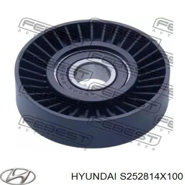 S252814X100 Hyundai/Kia tensor de correa, correa poli v