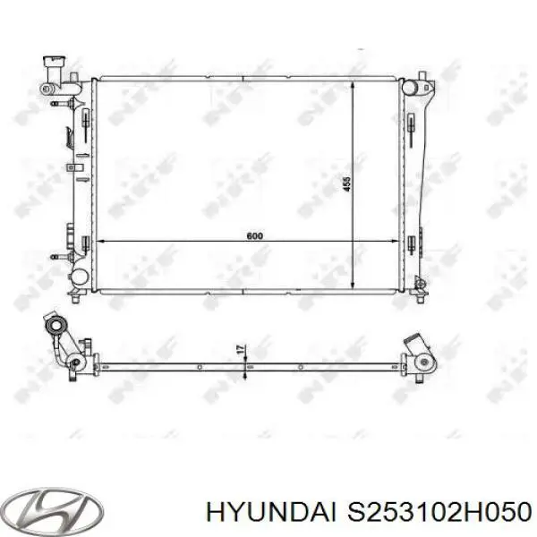 S253102H050 Hyundai/Kia radiador