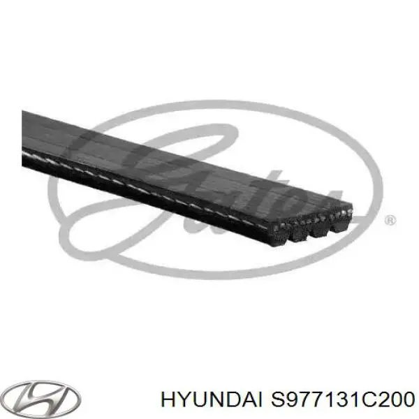 Correa de transmisión trapezoidal Hyundai/Kia S977131C200 precio, desde 13,18 EUR