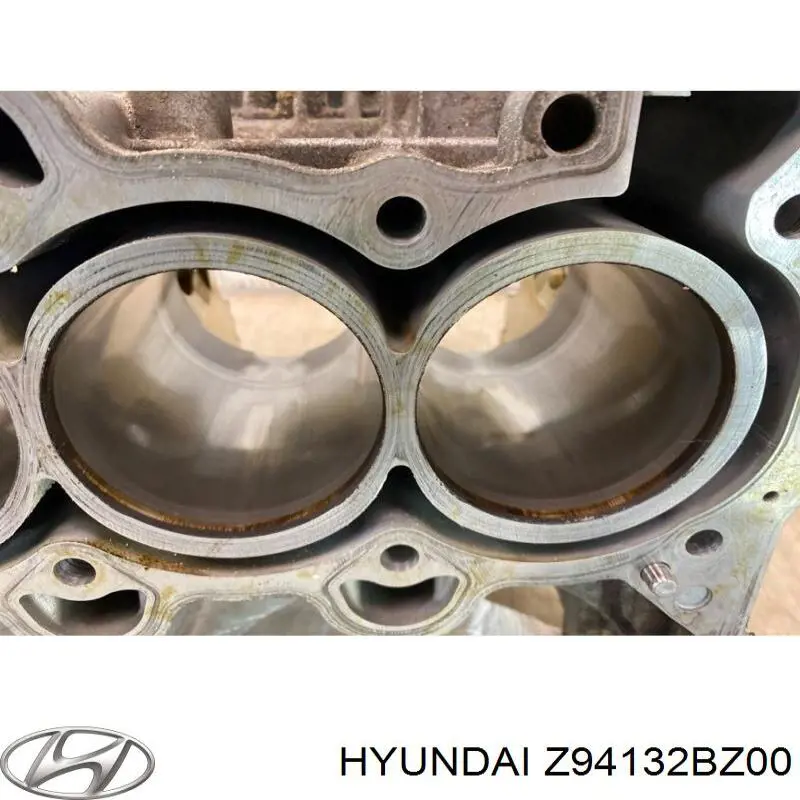 Z94132BZ00 Hyundai/Kia