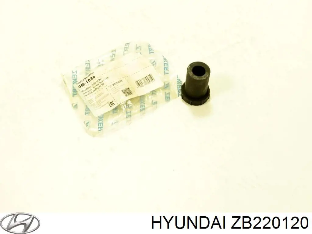 ZB220120 Hyundai/Kia