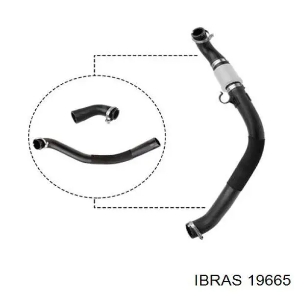 Comprar 19655 Ibras Tubo intercooler