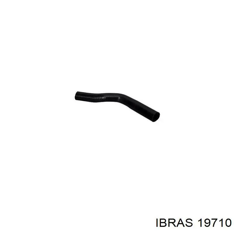 19710 Ibras