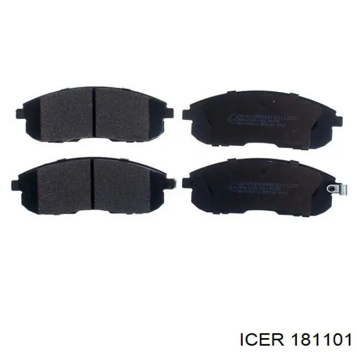181101 Icer