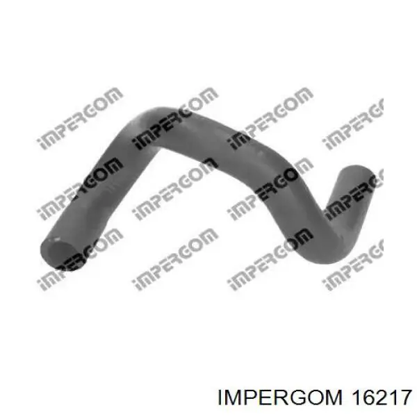 16217 Impergom conducto refrigerante, bomba de agua, de recepción