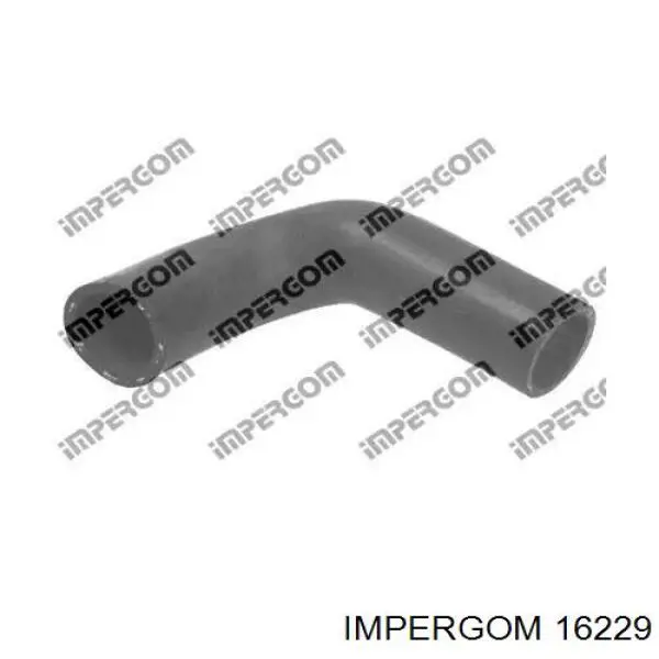 16229 Impergom