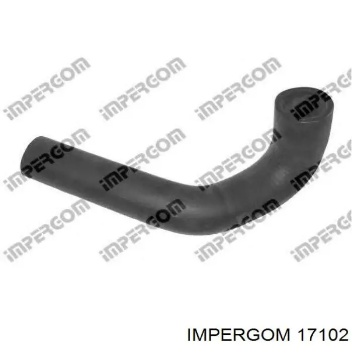 Conducto de aire, salida del filtro de aire Impergom 17102 precio, desde 26,73 EUR