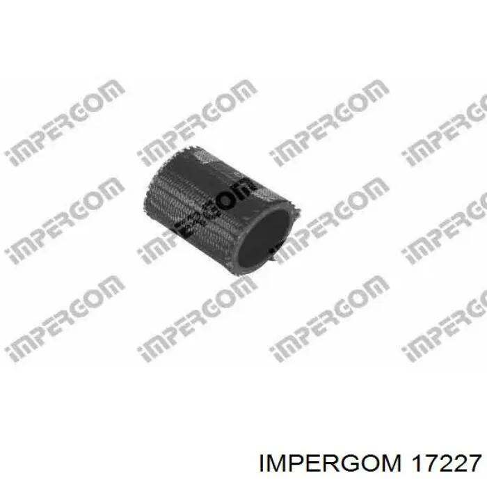 17227 Impergom tubo flexible de aire de sobrealimentación, a turbina
