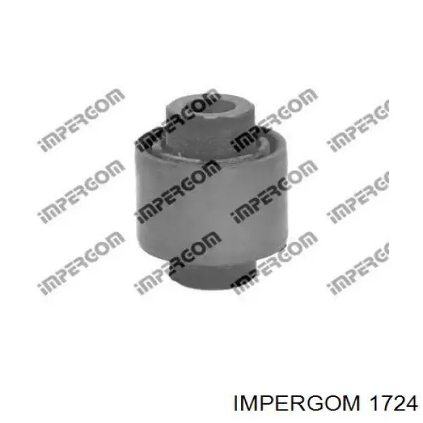 1724 Impergom Buje de mangueta trasera