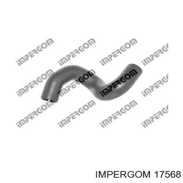 17568 Impergom Manguera superior del radiador