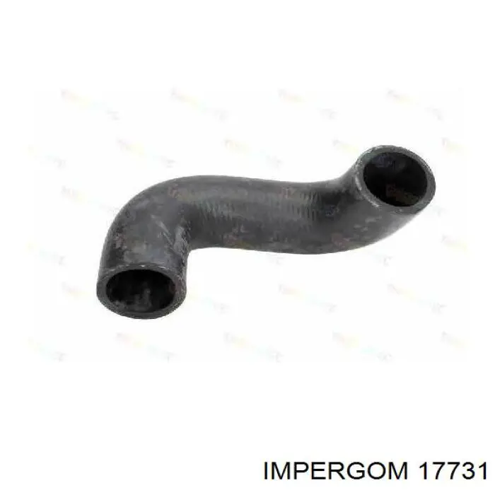 17731 Impergom tubo flexible de aspiración, salida del filtro de aire