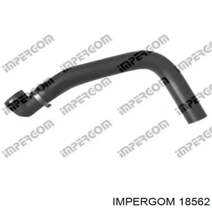 Manguito de radiador Impergom 18562
