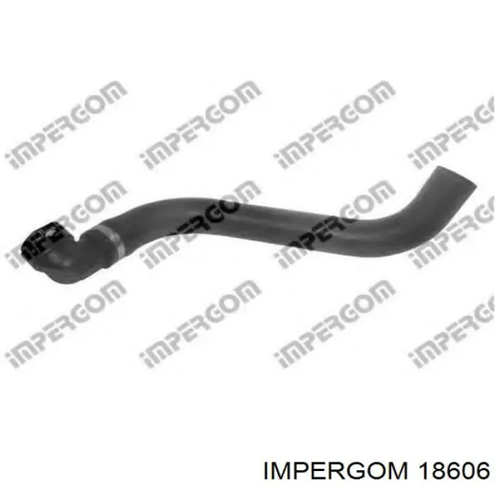 Manguera inferior del vaso de expansión 46467716 Fiat/Alfa/Lancia