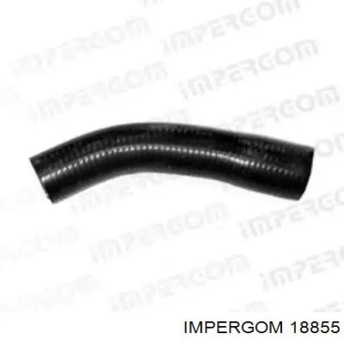  18855 Impergom