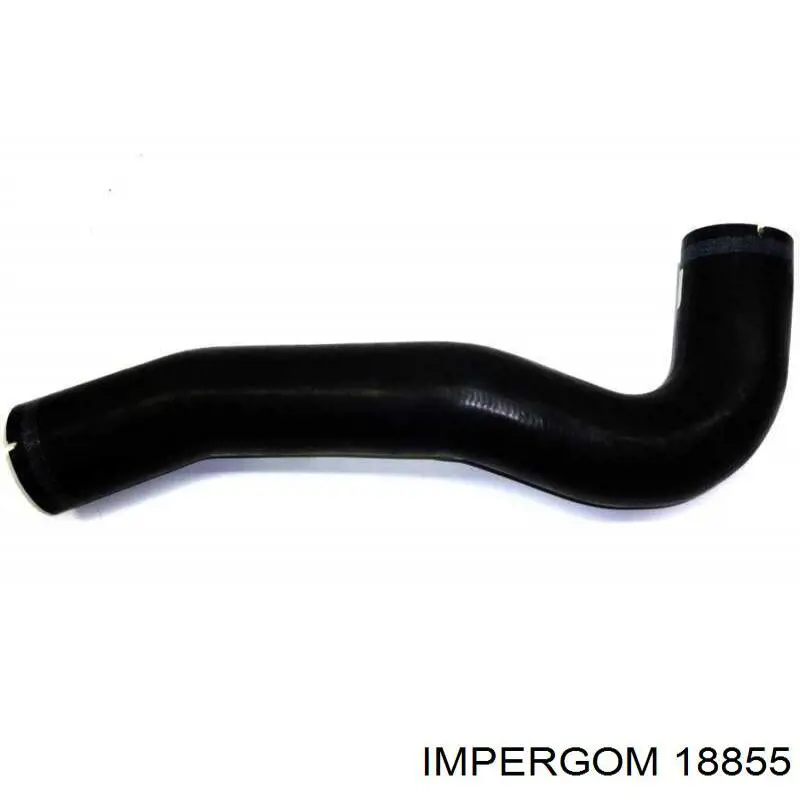 18855 Impergom 