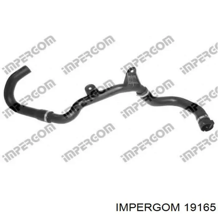 51790620 Fiat/Alfa/Lancia Manguera inferior del radiador