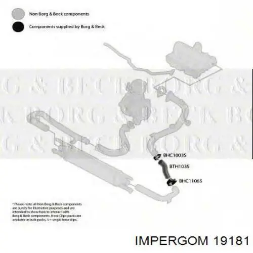 Manguera del intercooler Impergom 19181 precio, desde 20,42 EUR