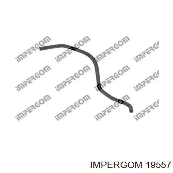 19557 Impergom