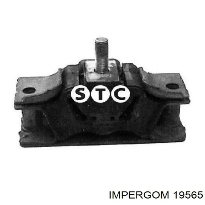 Comprar 19565 Impergom Manguera superior del radiador