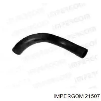 Manguera del termostato Impergom 21507 precio, desde 13,50 EUR