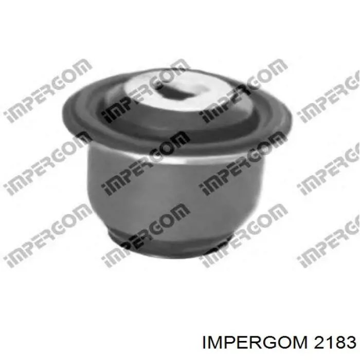 7700612542 Renault (RVI) Silentblock del puente trasero