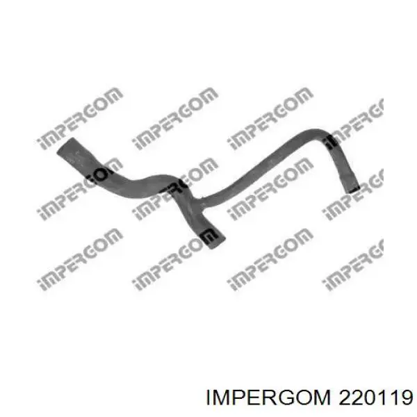 220119 Impergom