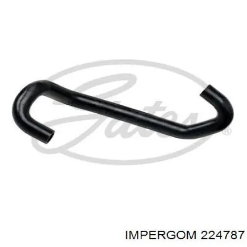 Manguera (conducto) del sistema de refrigeración Renault Espace 4 JK0