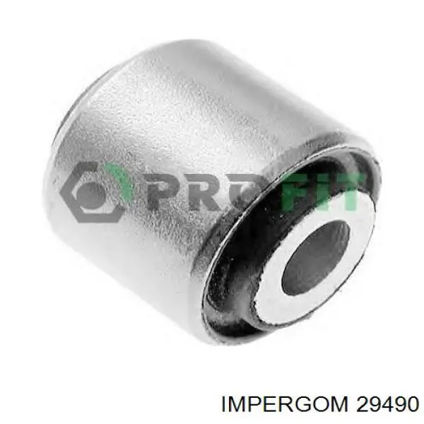  Metalcaucho 00173