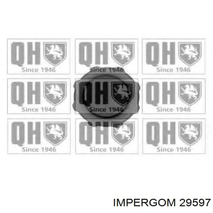 Vaso de expansión 7701460422 Renault (RVI)