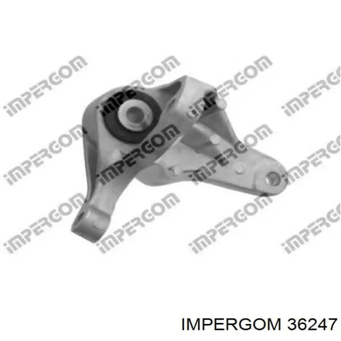 Comprar 36247 Impergom Soporte de motor trasero