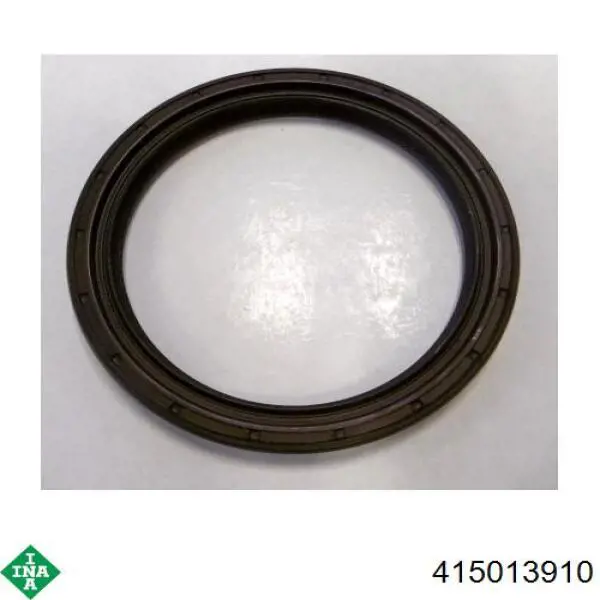 Volante motor 415013910 INA