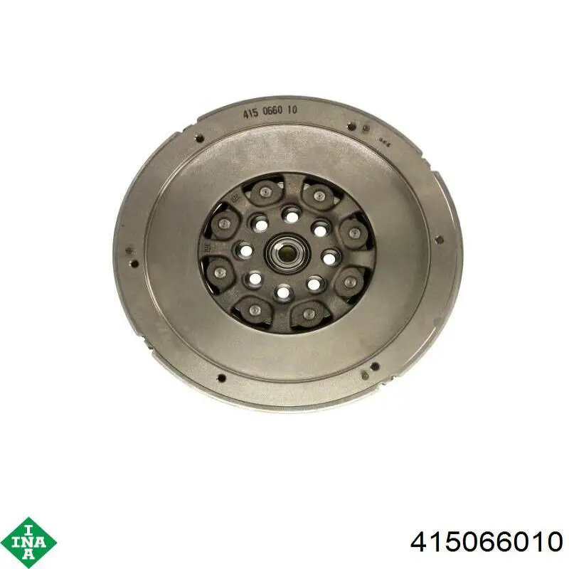 Volante motor 415066010 INA