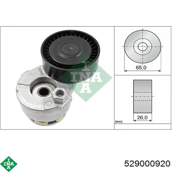 529 0009 20 INA correa de transmision, juego completo