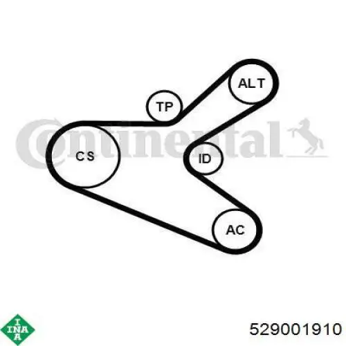 529 0019 10 INA correa de transmision, juego completo