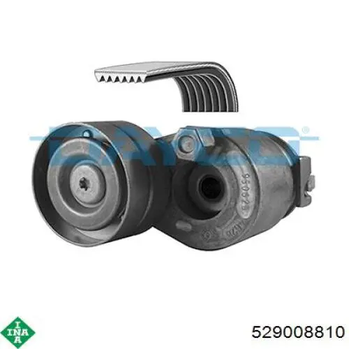 Correa de transmisión, juego INA 529008810 precio, desde 118,17 EUR