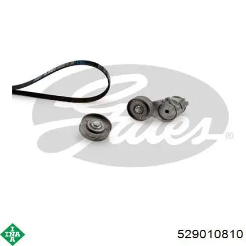 Correa de transmisión, juego INA 529010810 precio, desde 89,63 EUR