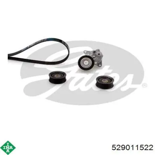 Correa de transmisión, juego INA 529011522 precio, desde 227,15 EUR