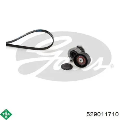 Correa de transmisión, juego INA 529011710 precio, desde 144,64 EUR
