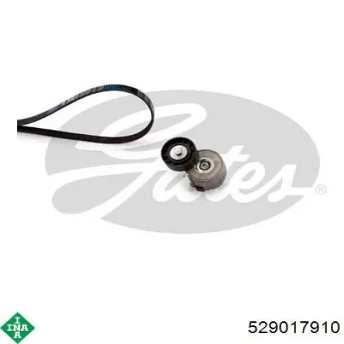 Correa de transmisión, juego INA 529017910 precio, desde 144,03 EUR