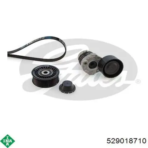 Correa de transmisión, juego INA 529018710 precio, desde 100,04 EUR